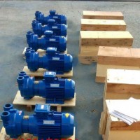 厂家供应水环真空泵 2BV2060小型水环泵真空抽塑用水泵